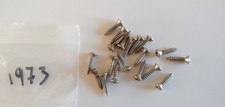 Vintage '70s genuine Fender Stratocaster/Tele/JBass/PBass USA screws set of 19!