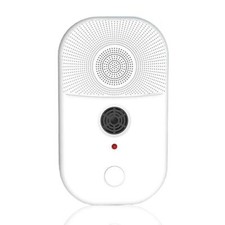 Antipulci e formiche antipulci