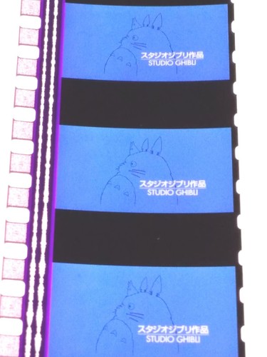 35mm studio ghibli totoro - studio, (totoro