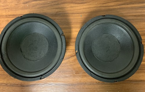 Potente coppia woofer - coppia,