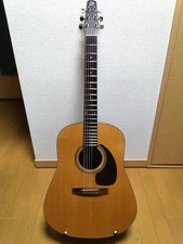 Seagull "SM6 ABETE" chitarra