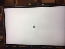 Pannello schermo LCD Apple