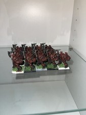 Warhammer Fantasy Guerrieri