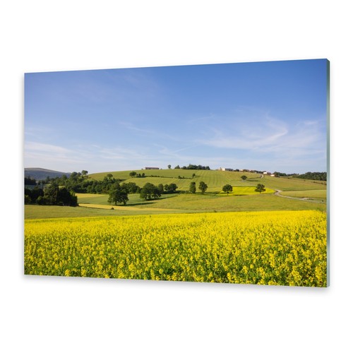 Quadri vetro quadro da - quadri,