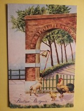 Buona Pasqua - Pulcini.