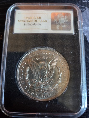 Moneta dollaro d argento - 1,