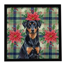 Beauceron Christmas Poinsettas