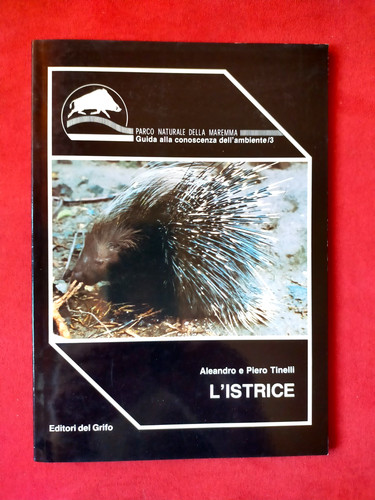 Istrice nel parco naturale - nel,