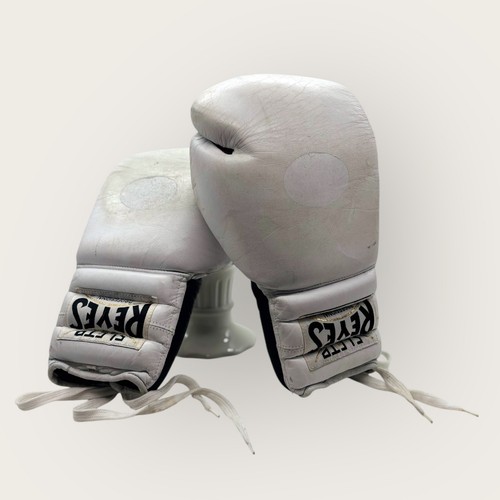 Guantoni boxe professionali - da,