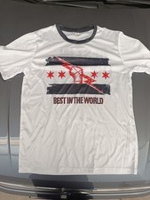 CM Punk - Best in the World