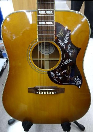 Chitarra elettrica acustica
