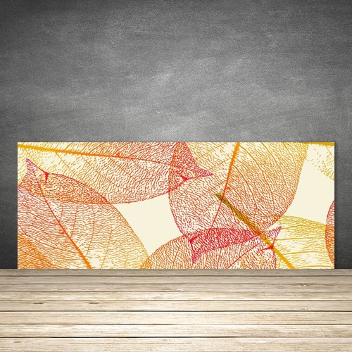 Paraschizzi cucina 125x50 - paraschizzi,