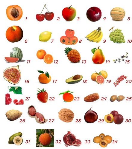 Piante frutto varie - piante, –