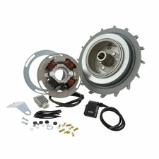 ""PINASCO 25356836 IGNITION