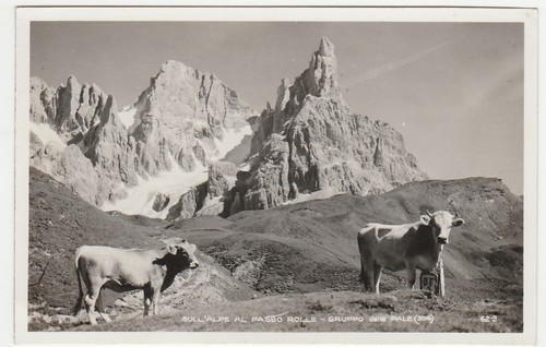 Sull alpe passo rolle - rolle,