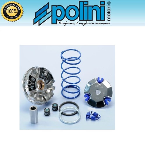Polini variatore 241 670 - variatore, 241.670