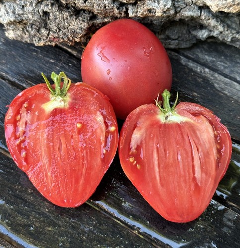 Pomodoro fresco dall andalusia - pomodoro, dall'andalusia