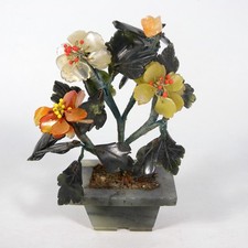 PICCOLA PIANTA CINESE BONSAI