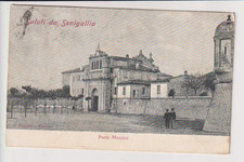 CARTOLINA SENIGALLIA ANCONA  PORTA MAZZINI  VG  1908