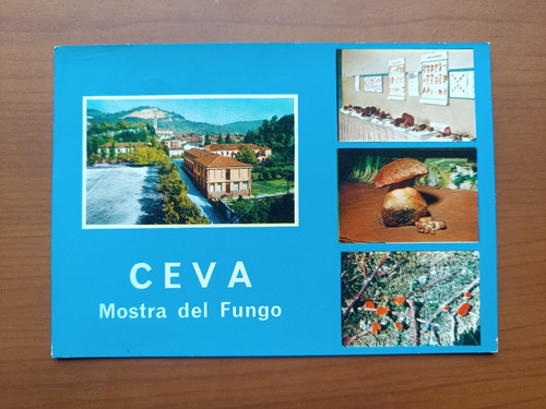 Ceva mostra del fungo - ceva,