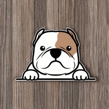 Decal - Kawaii American Bully