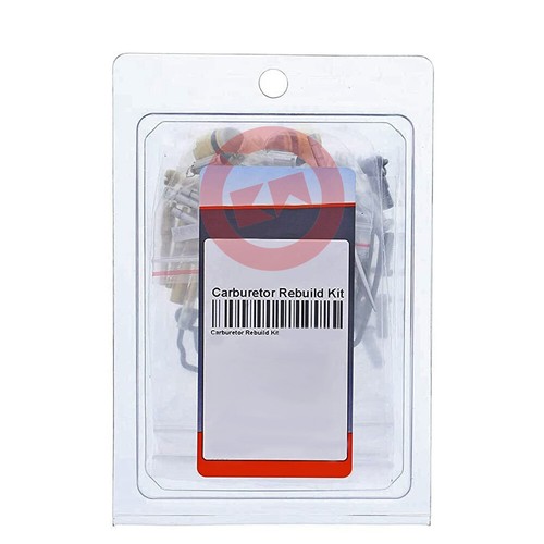Kit revisione carburatore - revisione,