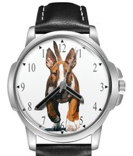 TWK Bull Terrier Cinturino