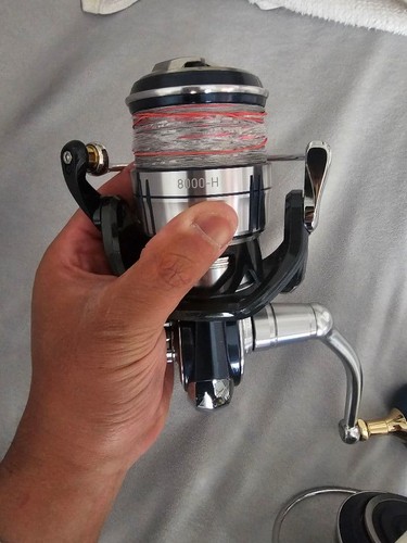 Daiwa certate sw8000 con - certate,