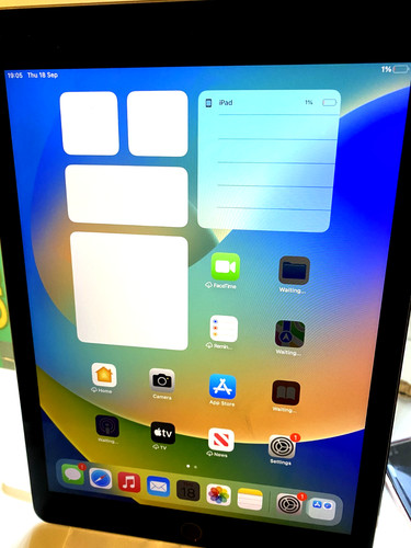 Apple ipad pro - apple, in