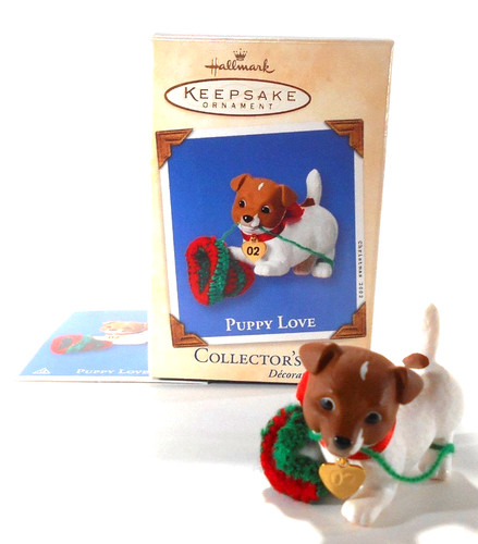 Cappello jack russell terrier - cappello,