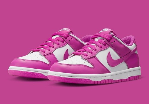 Nike dunk low active - dunk,