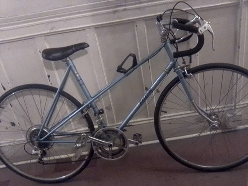 Raleigh winners vintage - raleigh,