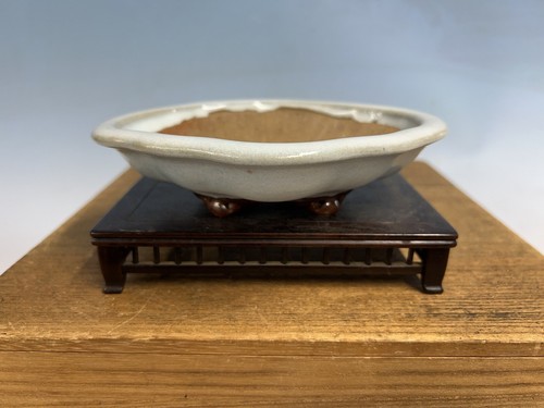 Vaso per bonsai - , bianco