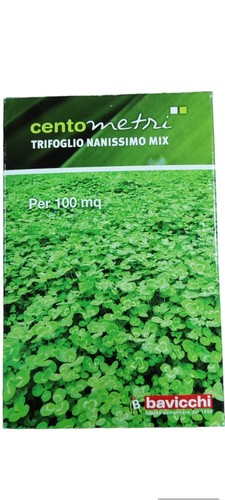 Semi trifoglio nanissimo - nanissimo, mix