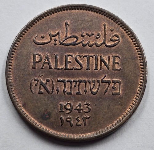 Moneta bronzo palestina mil - moneta,