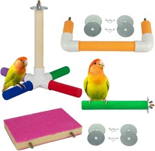 4 pezzi uccellino giocattolo