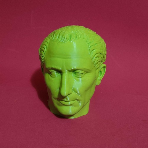 Riproduzione testa giulio - riproduzione, 3d