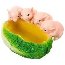  Cavolo cinese con fioriera a