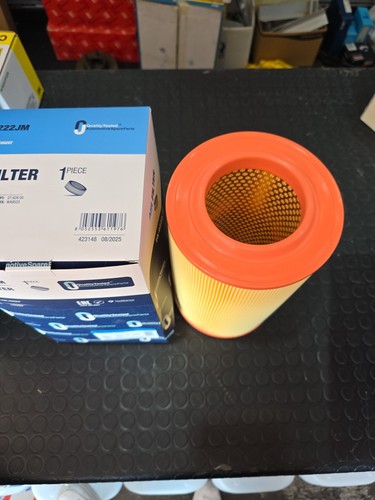 Filtro aria fiat ducato - filtro,