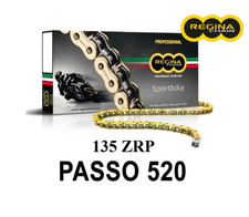 CATENA REGINA PER 520 PASSO