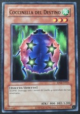 COCCINELLA DEL DESTINO in
