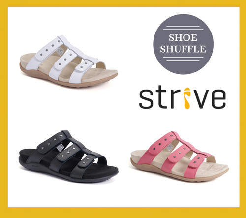 Strive biarritz supporto - strive,