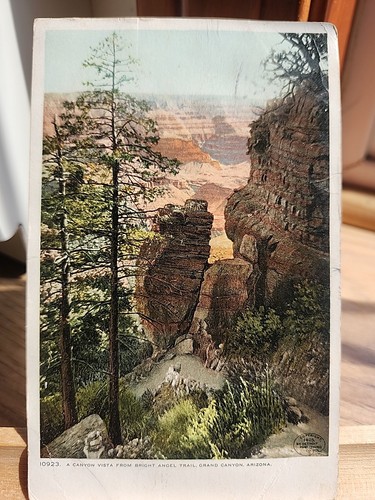Cartolina grand canyon - ,