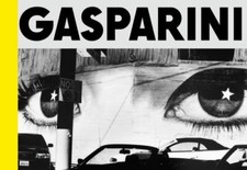 Paolo Gasparini : Field of
