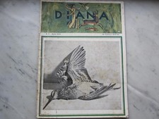 DIANA Rivista Caccia alla lepre arte nel fucile n.° 4 Anno XXIX 28 Febbraio 1934