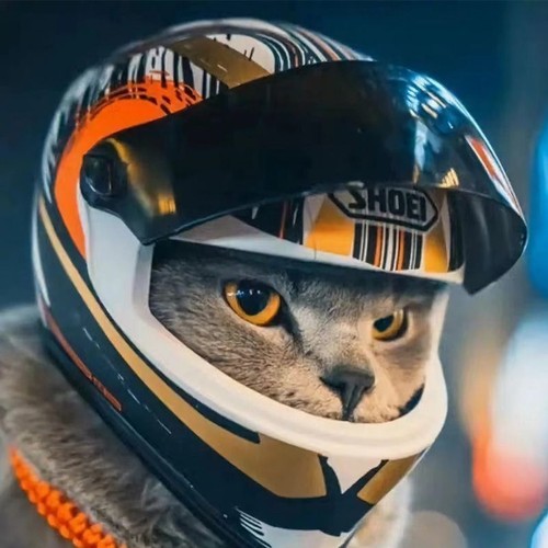 Caschi per animali domestici