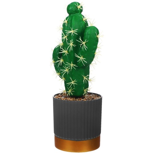 Decorazione cactus simulato - decorazione,