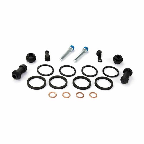 Kit revisione pinza freno - revisione,