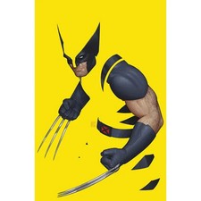 Fumetto: Wolverine 1 (Variant