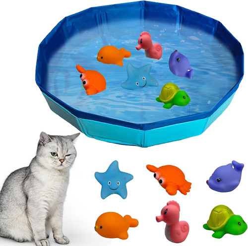 Piscina per gatti - gatti,, con